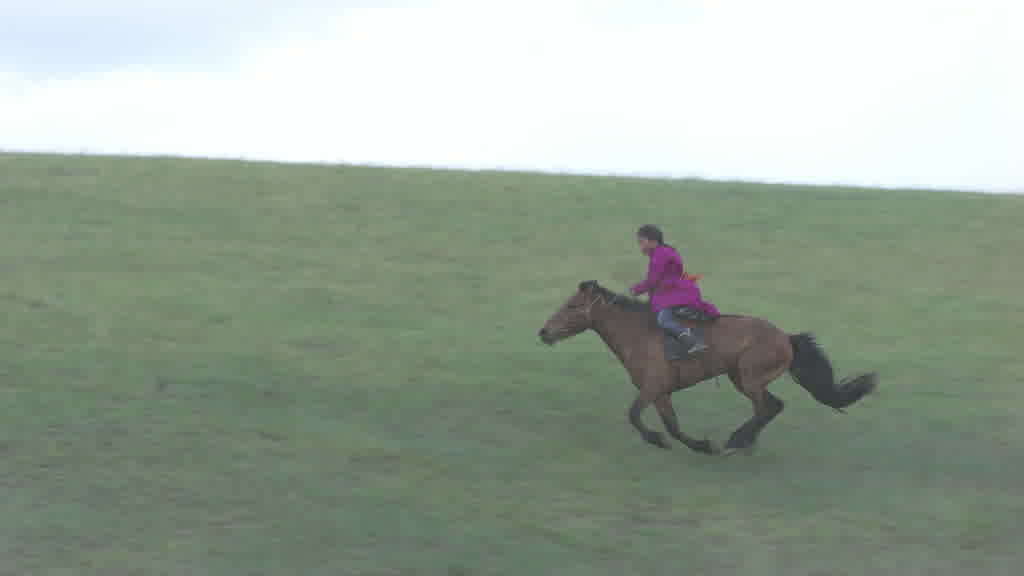 De jeunes cavaliers s'entraînent pour le Naadam dans les steppes de la vallée de l'Orkhon