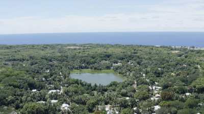 The "lagoon" and the forest